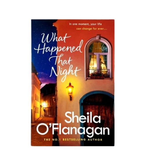 What Happened That Night - Sheila O'Flanagan