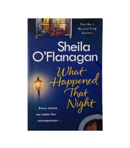 What Happened That Night - Sheila O'Flanagan