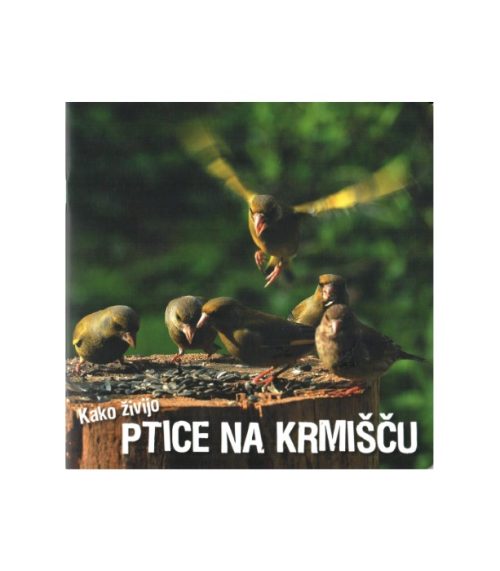 Kako živijo ptice na krmišču - Ivan Esenko